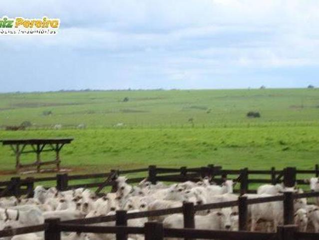 Terreno venda em Região Geográfica Imediata de Confresa - Vila Rica, Alto Boa Vista
