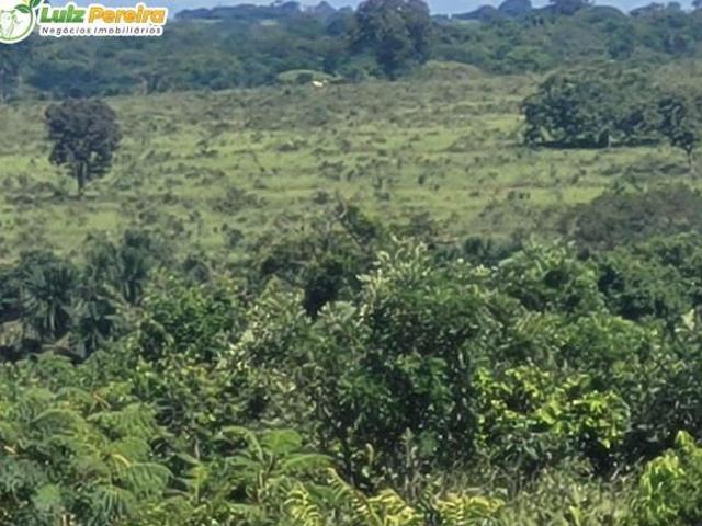 Terreno venda em Região Geográfica Imediata de Paranaíba - Chapadão do Sul - Cassilândia, Aparecida do Taboado