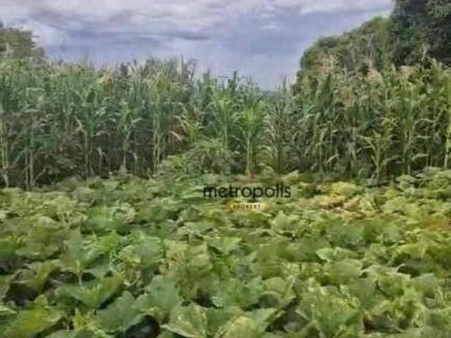 Terreno venda em Região Geográfica Imediata de Guaxupé, Arceburgo