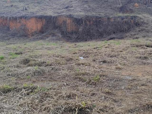 Terreno venda em Bandeira do Sul, Região Geográfica Intermediária de Pouso Alegre