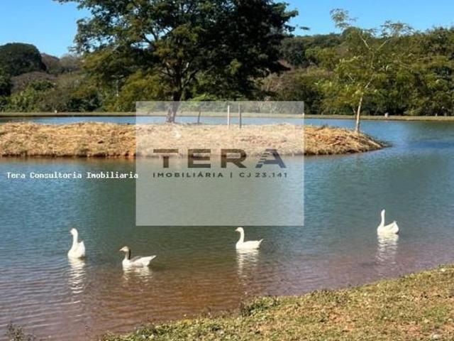 Terreno venda em Região Geográfica Imediata de Goiânia, Bela Vista de Goiás