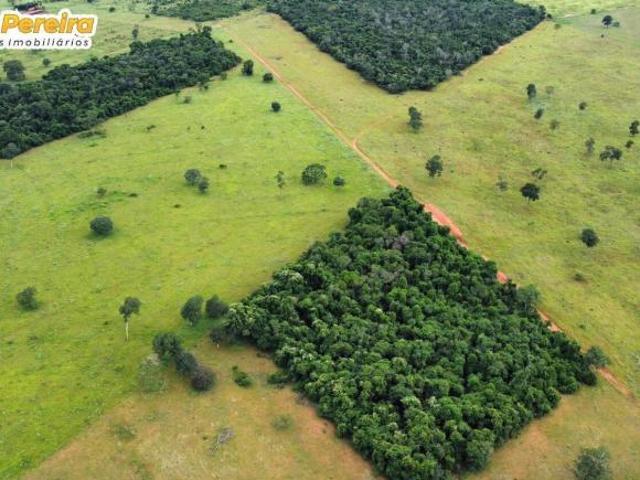 Terreno venda em Região Geográfica Imediata de Rio Verde, Caçu