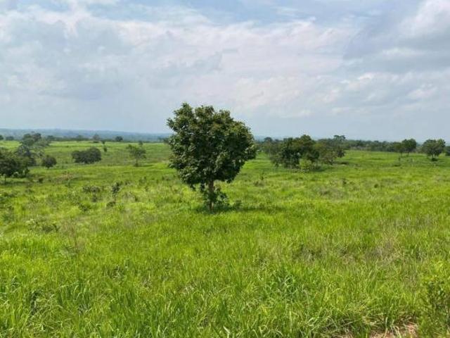 Terreno venda em Região Geográfica Imediata de Cáceres, Antônio João