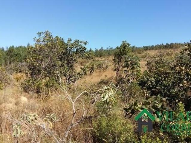Terreno venda em Região Geográfica Imediata de Sete Lagoas, Caetanópolis