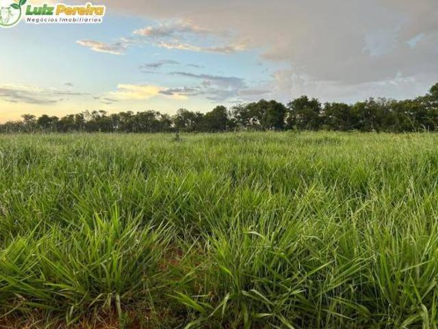 Terreno venda em Camapuã