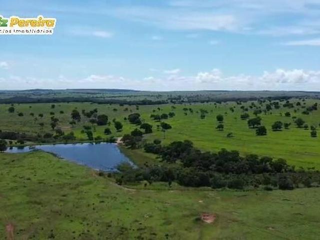 Terreno venda em Camapuã