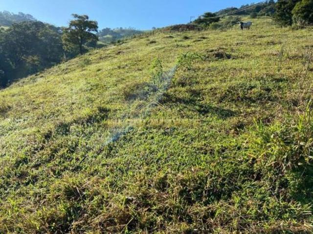 Terreno venda em Centro, Cambuí