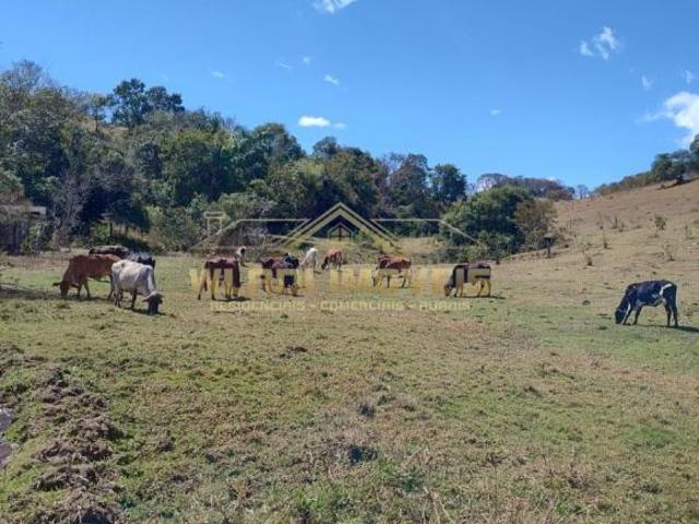 Terreno venda em Centro, Cambuí