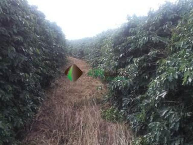 Terreno venda em Região Geográfica Imediata de Guaxupé, Guaxupé