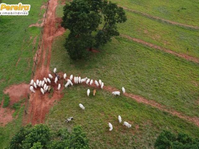 Terreno venda em Região Geográfica Imediata de Uberlândia, Campina Verde