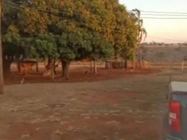 Terreno venda em Região Geográfica Imediata de Uberlândia, Campina Verde
