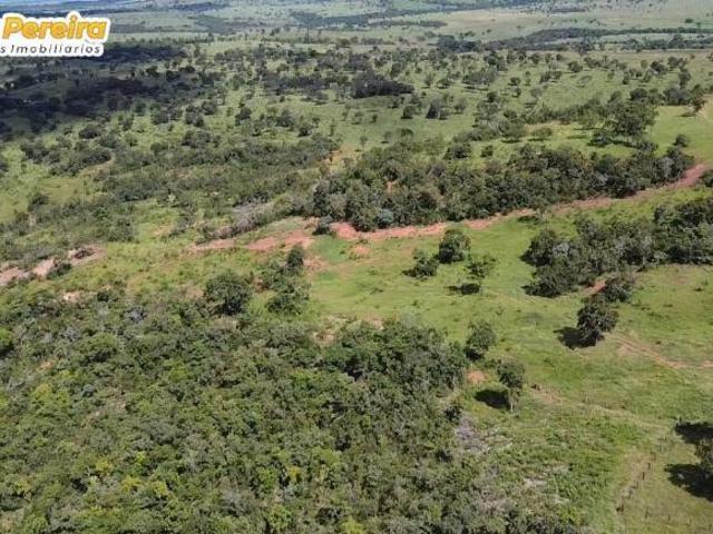 Terreno venda em Região Geográfica Imediata de Água Boa, Campinápolis