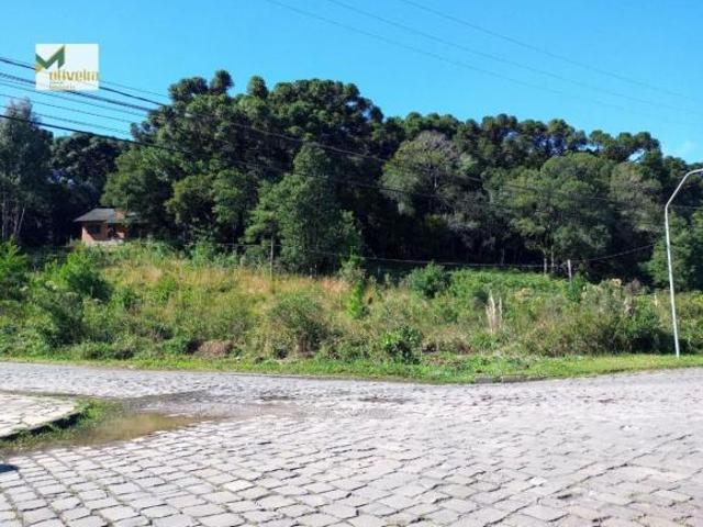 Terreno venda em Região Geográfica Imediata de Caxias do Sul, Canela
