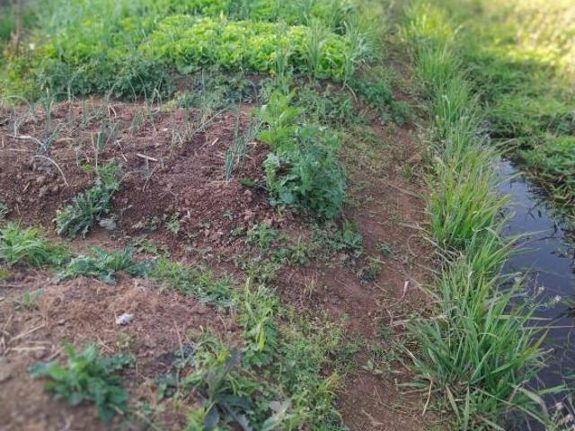 Terreno venda em Região Geográfica Imediata de Sete Lagoas, Região Metropolitana de Belo Horizonte