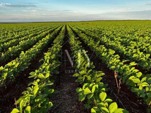 Terreno venda em Região Geográfica Imediata de Cuiabá, Região Metropolitana do Vale do Rio Cuiabá