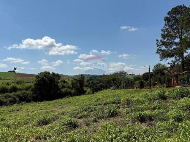 Terreno venda em Tuiuti