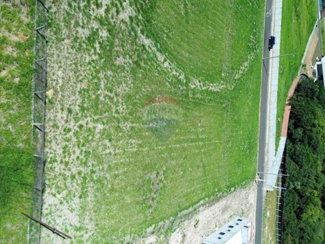 Terreno venda em Região Imediata de Ribeirão Preto, Região Metropolitana de Ribeirão Preto