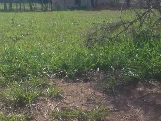 Terreno venda em Centro, Águas de Santa Bárbara
