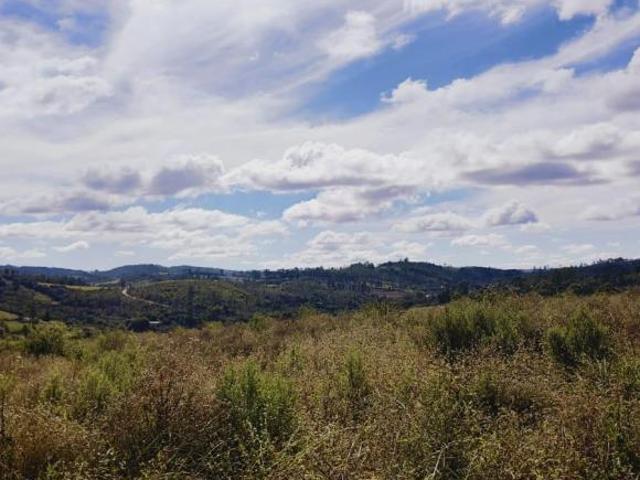 Terreno venda em Região Geográfica Imediata de Conselheiro Lafaiete, Desterro de Entre Rios