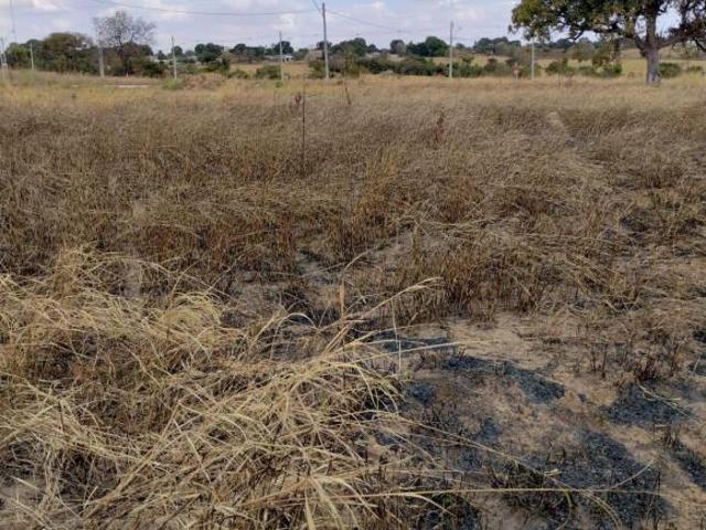 Terreno venda em Edéia, Região Geográfica Intermediária de São Luís de Montes Belos-Iporá