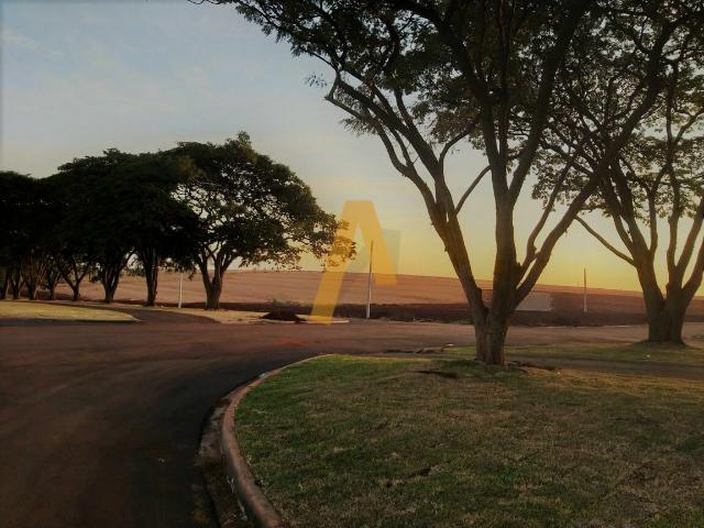 Terreno venda em Região Imediata de São Joaquim da Barra-Orlândia, Região Metropolitana de Ribeirão Preto