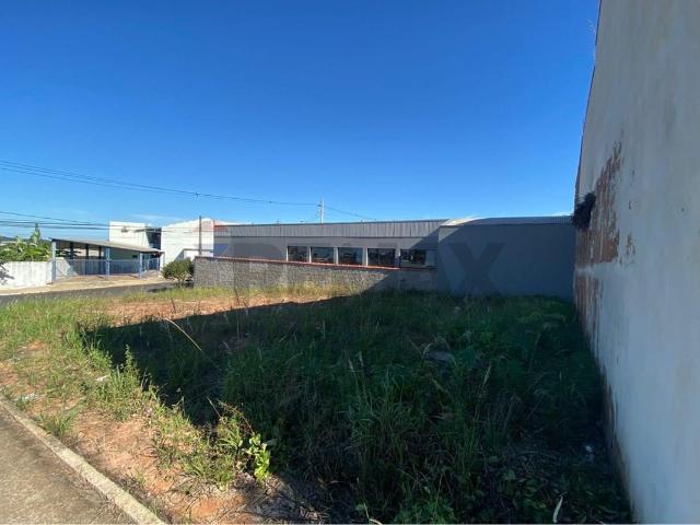 Terreno venda em Região Imediata de Catanduva, Santa Adélia