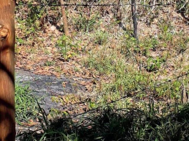 Terreno venda em Chuvinha, Santana de Pirapama