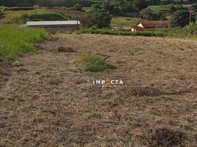 Terreno venda em Estiva