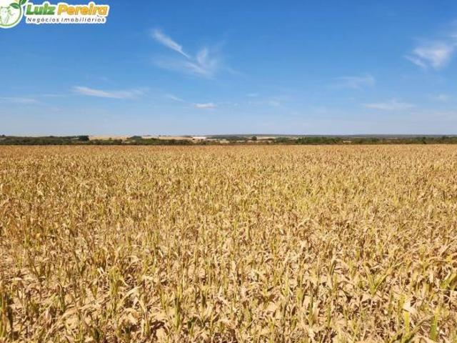 Terreno venda em Região Geográfica Imediata de Água Boa, Gaúcha do Norte