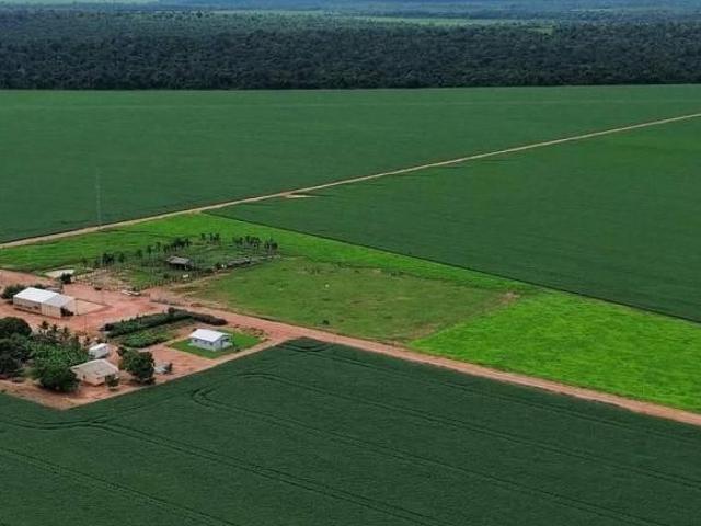 Terreno venda em Região Geográfica Imediata de Água Boa, Gaúcha do Norte