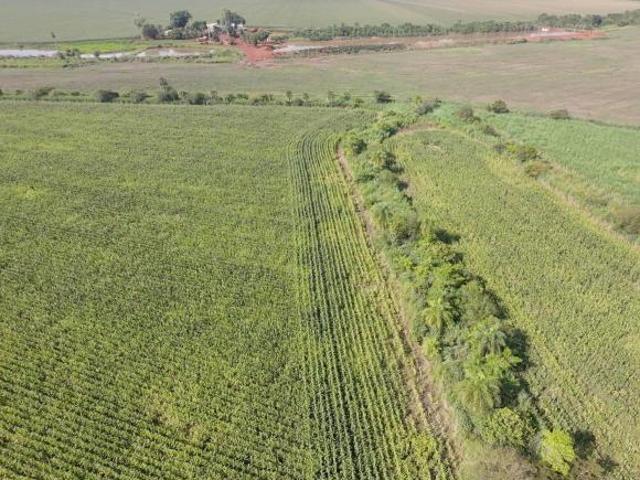 Terreno venda em Região Geográfica Imediata de Dourados, Dourados