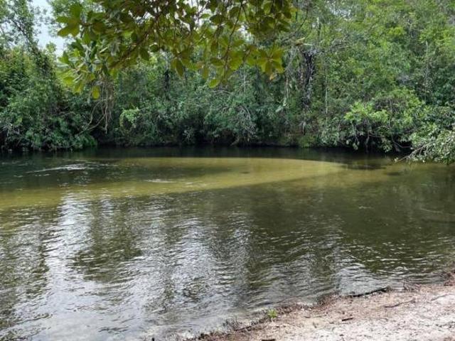 Terreno venda em Região Geográfica Imediata de Peixoto de Azevedo - Guarantã do Norte, Guarantã do Norte