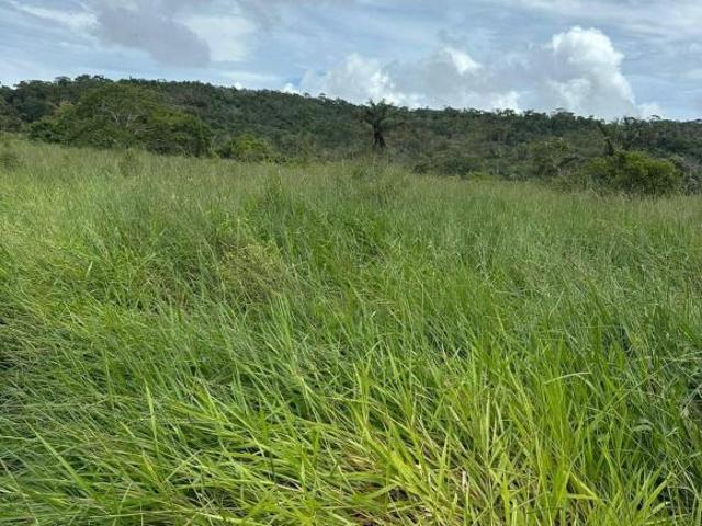 Terreno venda em Região Geográfica Imediata de Peixoto de Azevedo - Guarantã do Norte, Guarantã do Norte