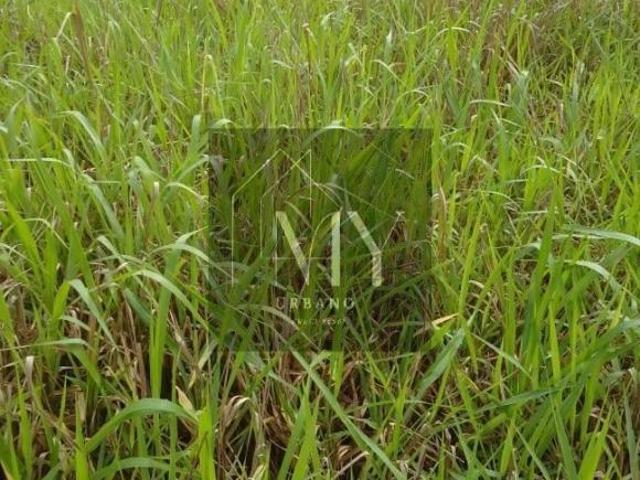 Terreno venda em Região Geográfica Imediata de Cuiabá, Região Metropolitana do Vale do Rio Cuiabá