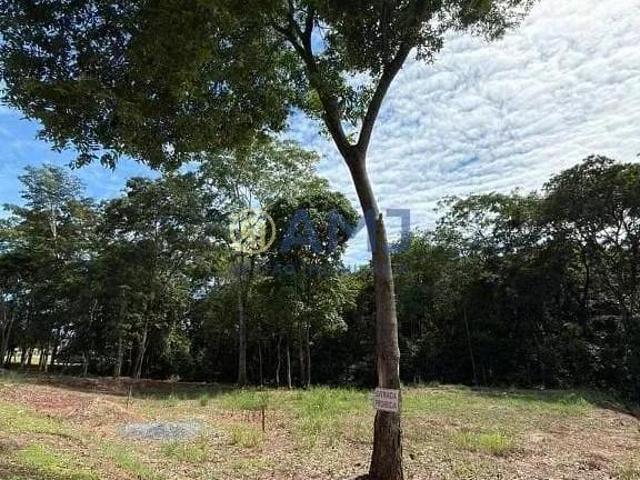 Terreno venda em Região Geográfica Imediata de Goiânia, Hidrolândia