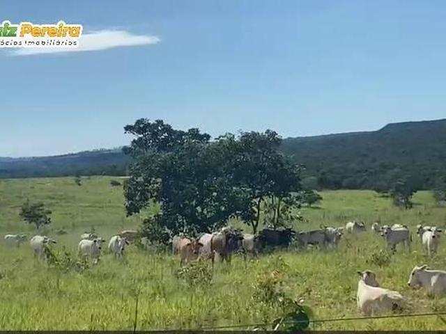 Terreno venda em Itiquira, Região Geográfica Intermediária de Rondonópolis