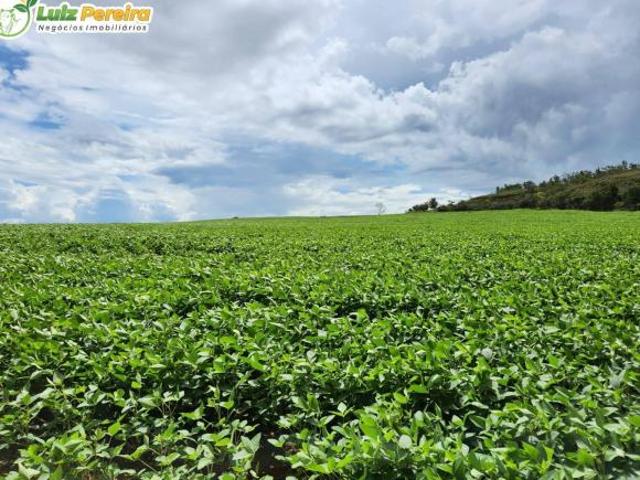 Terreno venda em Itiquira, Região Geográfica Intermediária de Rondonópolis