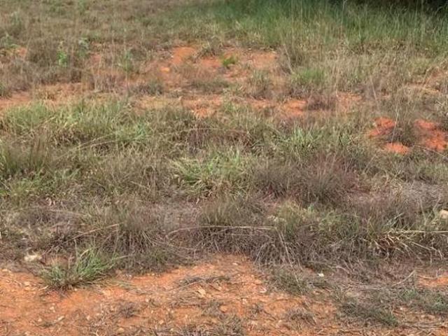 Terreno venda em Tomás Gonzaga, Curvelo