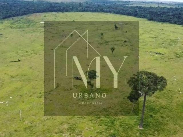 Terreno venda em Região Geográfica Imediata de Cuiabá, Região Metropolitana do Vale do Rio Cuiabá
