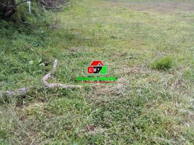 Terreno venda em Maria da Fé