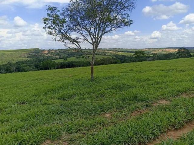 Terreno venda em Martinho Campos, Região Geográfica Intermediária de Divinópolis