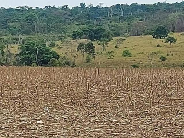 Terreno venda em Região Geográfica Imediata de Peixoto de Azevedo - Guarantã do Norte, Matupá