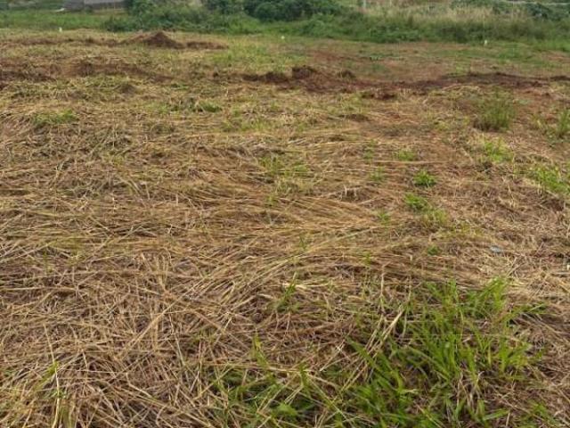 Terreno venda em Região Geográfica Imediata de Lavras, Nepomuceno