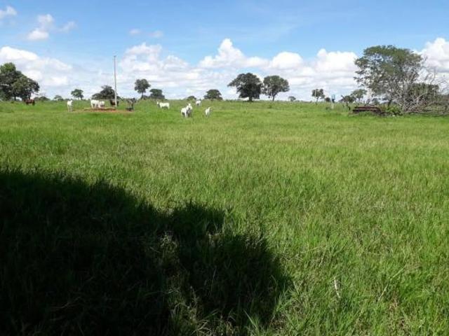 Terreno venda em Região Geográfica Imediata de Barra do Garças, Novo São Joaquim
