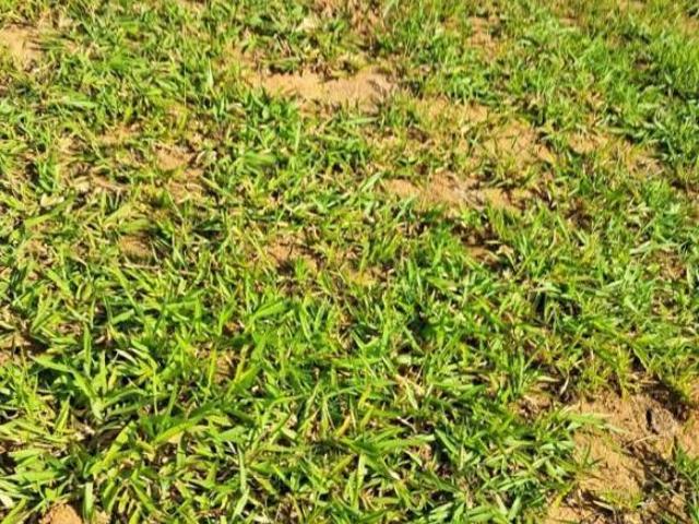 Terreno venda em Região Geográfica Imediata de Oliveira, Oliveira