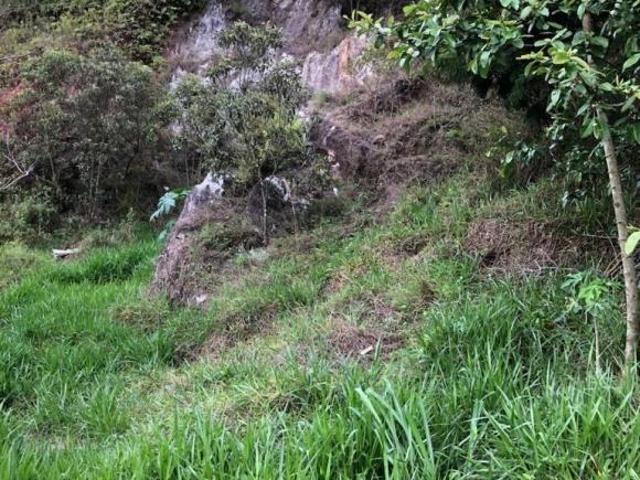 Terreno venda em Região Geográfica Imediata de Santa Bárbara - Ouro Preto, Ouro Preto