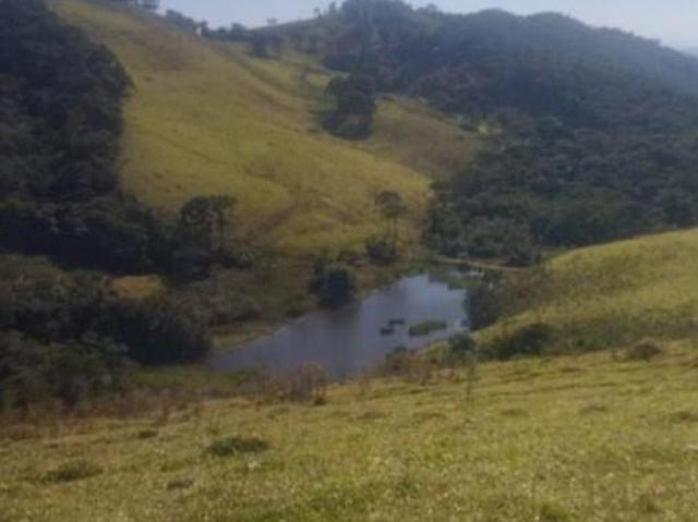 Terreno venda em Paraisópolis