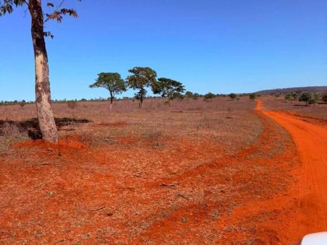 Terreno venda em Região Geográfica Imediata de Paranaíba - Chapadão do Sul - Cassilândia, Paranaíba