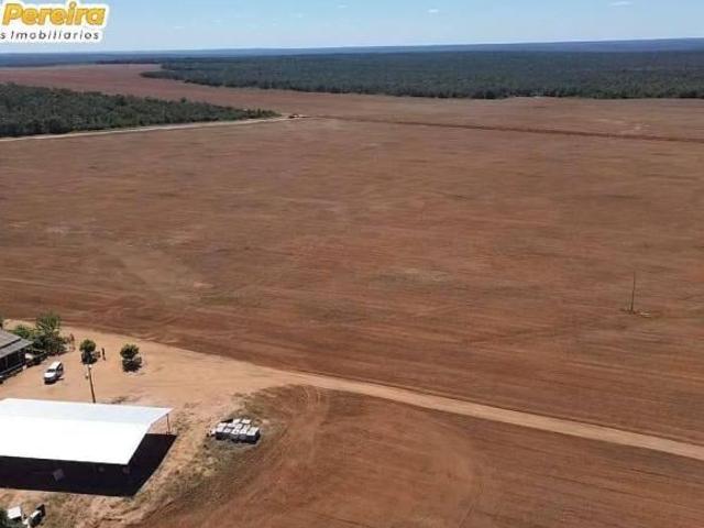 Terreno venda em Paranatinga, Região Geográfica Intermediária de Rondonópolis