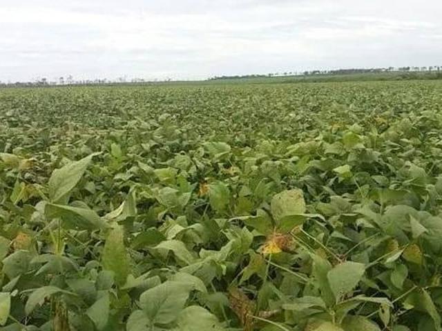Terreno venda em Nova Friburgo